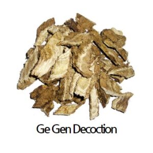 Ge Gen Decoction